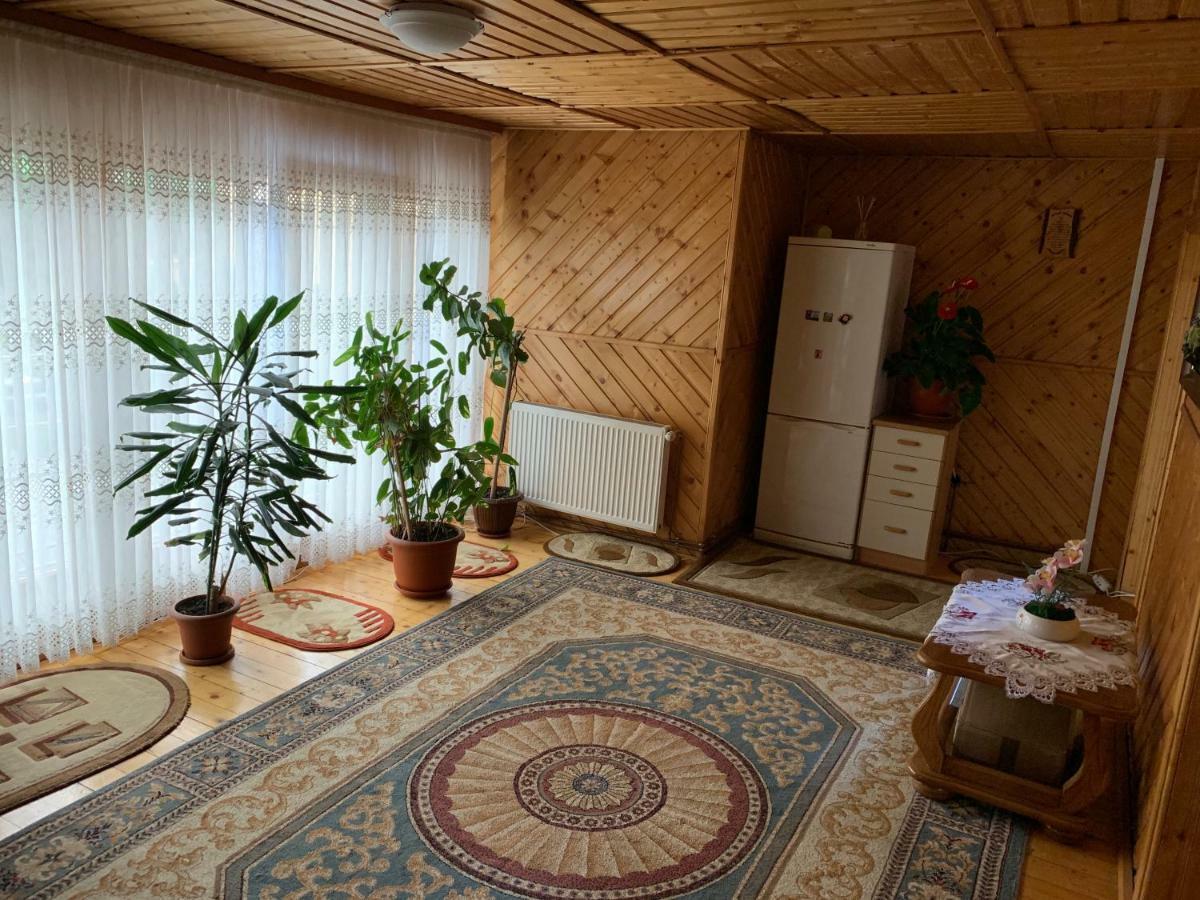 Rustic Apartament Moisei Bagian luar foto