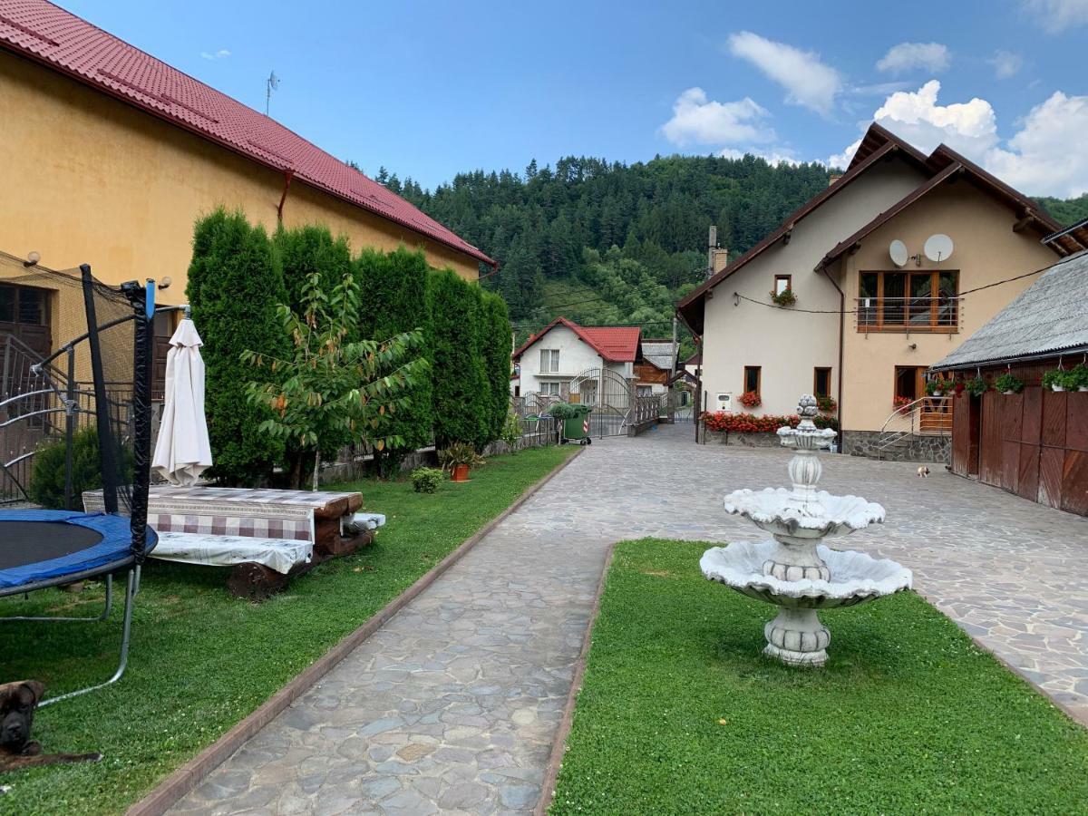 Rustic Apartament Moisei Bagian luar foto